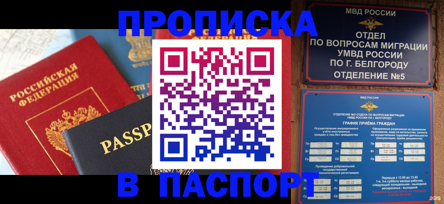 временная регистрация надежно в Череповце